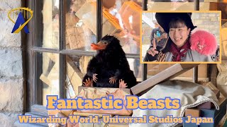 Interact with Fantastic Beasts in the Wizarding World of Harry Potter at Universal Studios Japan