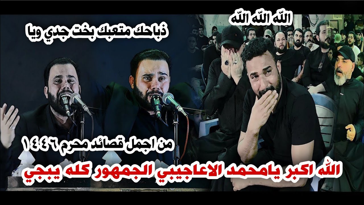 والعباس هاي اجمل قصيده بمحرم/ محمد الاعاجيبي الجمهور يبجي بسببه/مهرجان الامام العباس الامين الثانيه