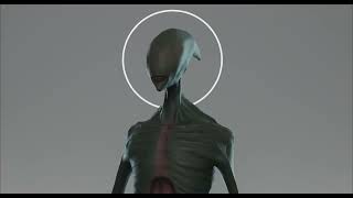 3D Model Presentation | Low poly | Rigged - Alien #1