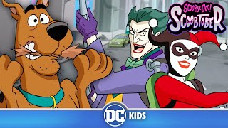 ScoobyDoo! and Krypto, Too! | FIRST 10 MINUTES! | #Scoobtober @wbkids @dckids