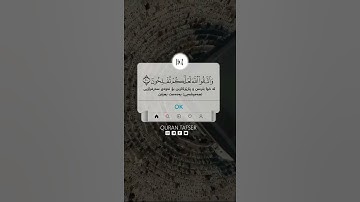 قرآن الكريم بصوت طارق محمد 😊🖤 اجمل حالات واتس اب دينية سورة آل عمران 🎧 تلاوة خاشعة مبكية
