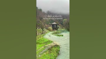 ما تيسر من سورة ابراهيم 🤍🍃#short #قرآن