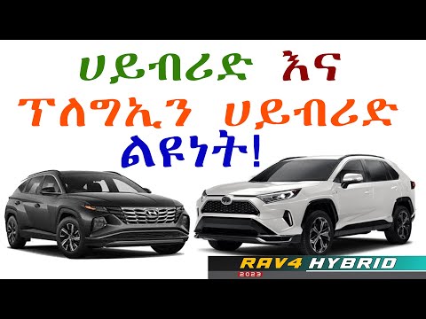 ቪዲዮ: ሀይብሪድ ሂክስ ዬው ምንድን ነው - ስለ ማደግ ተማር Hicks Yew Shrub