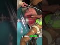 Boiler Repair: Reconnecting Low Water Cutoff & First Combustion Analysis! #shorts
