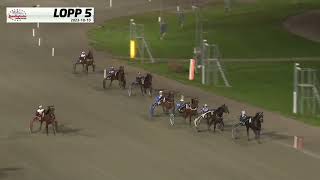 Vidéo de la course PMU PRIX E3 BONUS - AGRIA DJURFORSAKRING