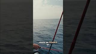 Quelle canne choisir pour les pêches en verticale au jig ?