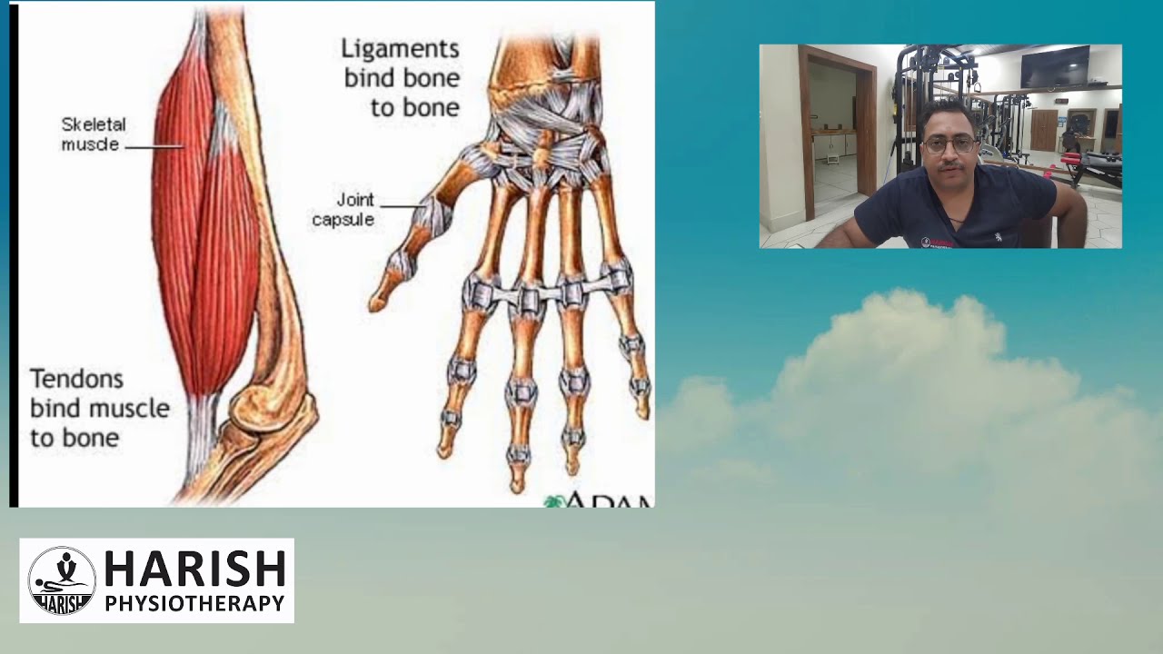 Biomechanics of tendon and ligament Explained in Hindi