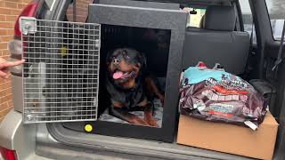 Wrex the Rottweiler tests out the DT 500 dog crate.