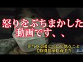 手当や支援に対して思うこと【アンチコメ/特別児童扶養手当/障がい児の母】
