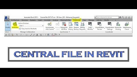 Central file and worksets, local copy in revit