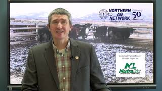 Tyson Plant Closure Shakes the Cattle Market: What It Means for the Future
