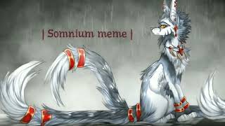 | Somnium - meme | Erya Dark |