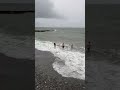 Сочные сибиряки