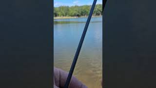 What is Happening! #fishingfreak #missedfish #Godisgood #Gidblesses #whatishappening #fishing