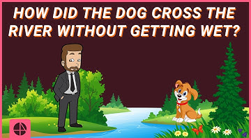 Brain Teaser 16 | How Did The Dog Cross The River Without Getting Wet?