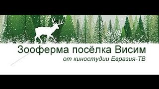 Иноземцы на ферме Висима