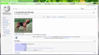 Open Office Writer3
