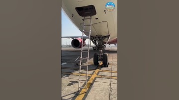 Rare Glimpse Into The Nerve Center of The Airbus Aircraft #AvionicsCompartmentAcessDoor #AirbusTech