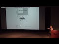 Bayesian Modeling of Morphology