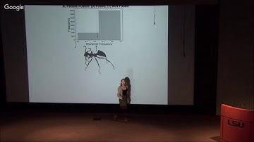 Bayesian Modeling of Morphology