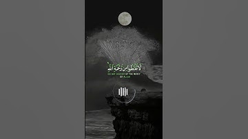 📖سورة الزمر 🎙️سمير عزت