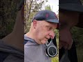 A Thursday morning stroll through the May bugs...