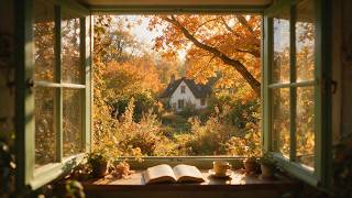 the peaceful feeling of an autumn morning ☕🍁 soft piano for reading, studying & slow living screenshot 2