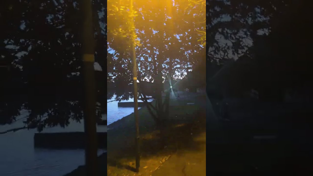 Evening walk around the Panmure Basin East Auckland 1 Mar 2026 out of breath still keep going! 🥵🥵