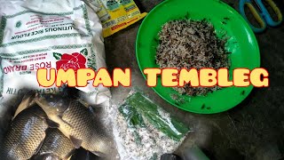 CARA MEMBUAT UMPAN TEMBLEG [] LANGSUNG TESTER
