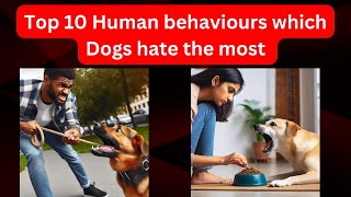 Top 10 Human behaviours which Dogs hate the most