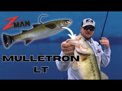 The Z-Man MULLETRON LT Is For BASS Too!! This Swimbait Is MONEY!! 