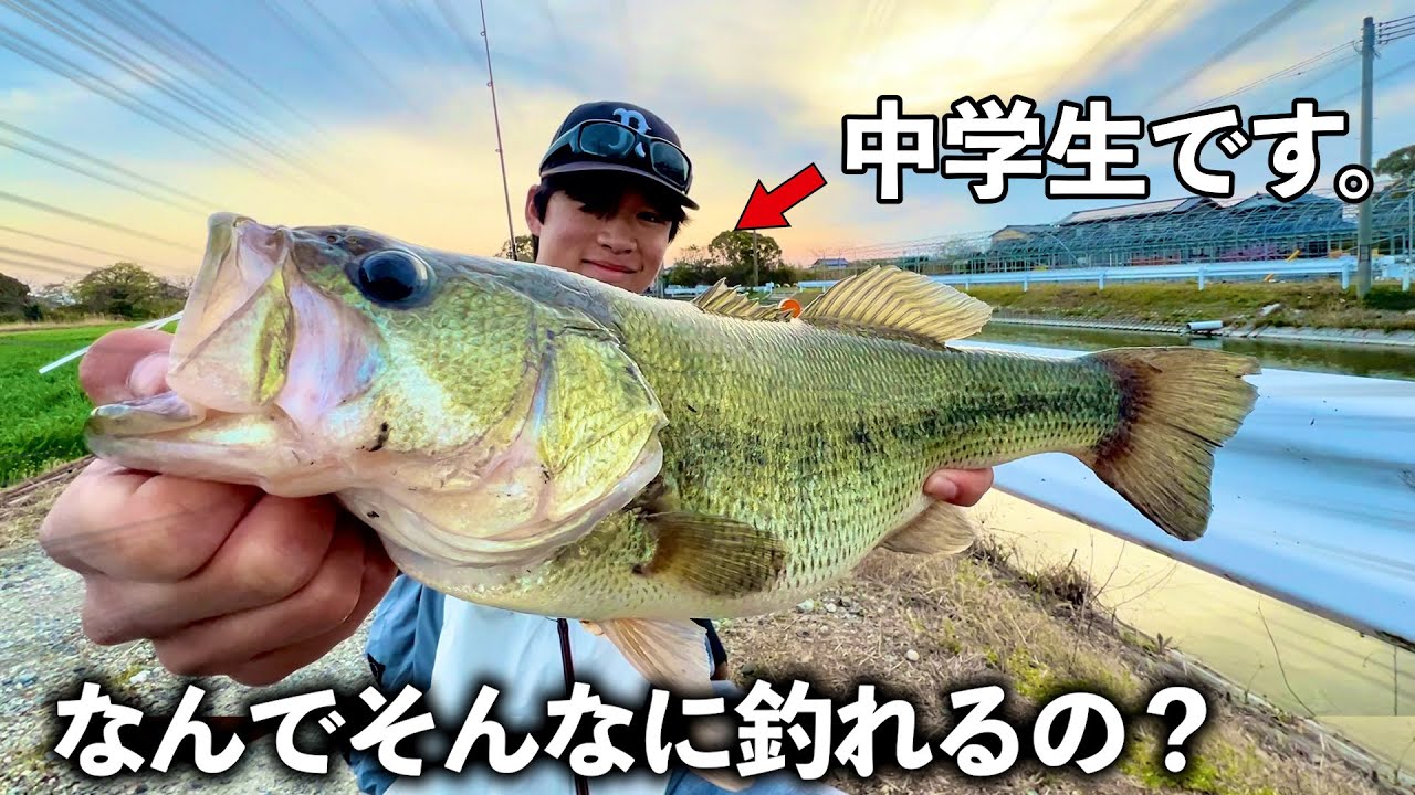 天才中学生と４月のバスを攻略したら連発しすぎた…【バス釣り】#バス釣り  #柳川クリーク