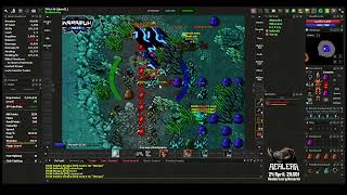 Boss lvl 75 Realera - Xenoria
