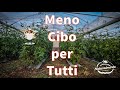 Ottobrata: Tutto cresce rapidamente Minore Produttività agricola | Produciamo Naturalmente live