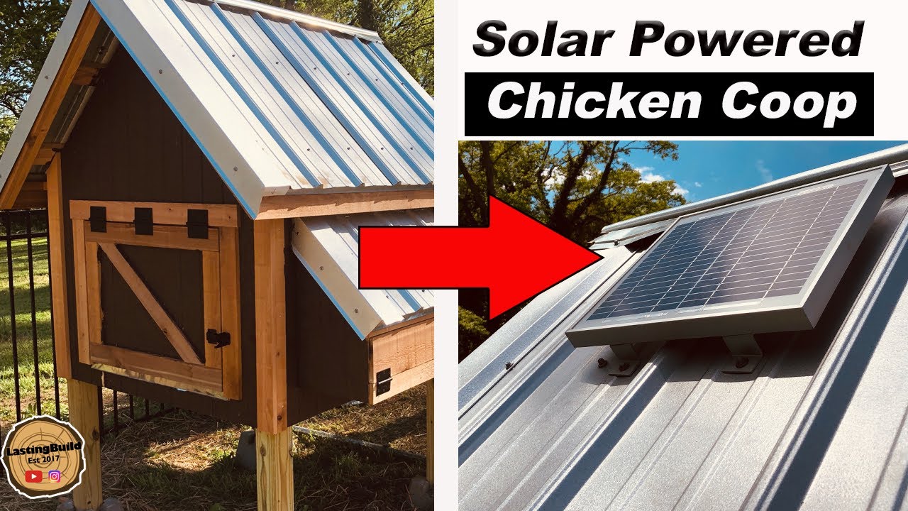 Do-It-Yourself Projects to Get You Off the Grid: Rain Barrels, Chicken  Coops, Solar Panels, and More