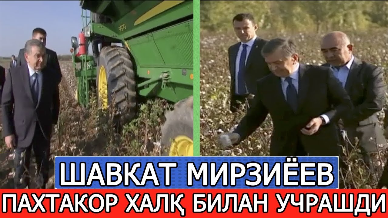 ШАВКАТ МИРЗИЁЕВ ТОШКЕНТ ВИЛОЯТИДА ПАХТАКОР ХАЛҚ БИЛАН УЧРАШДИ!