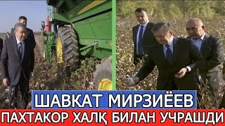картинка: ШАВКАТ МИРЗИЁЕВ ТОШКЕНТ ВИЛОЯТИДА ПАХТАКОР ХАЛҚ БИЛАН УЧРАШДИ!