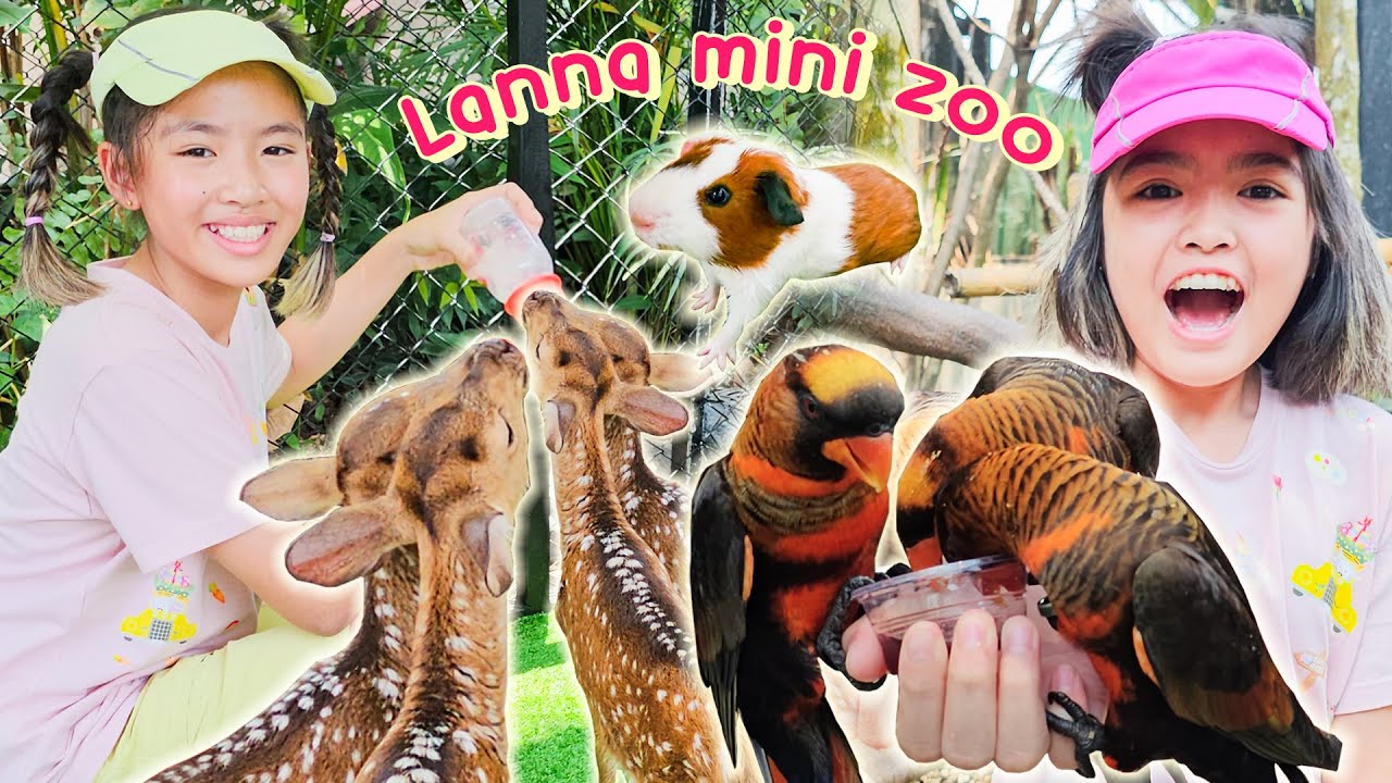 YimYamFamily | พาน้องเที่ยว Lanna mini zoo