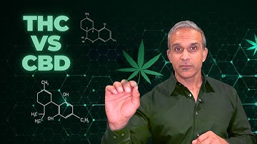 CBD vs THC: How Cannabis Affects Heart Health