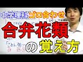 中学理科【ゴロ合わせ】「合弁花類の覚え方」