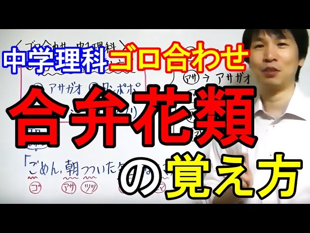 中学理科 ゴロ合わせ 合弁花類の覚え方 Youtube