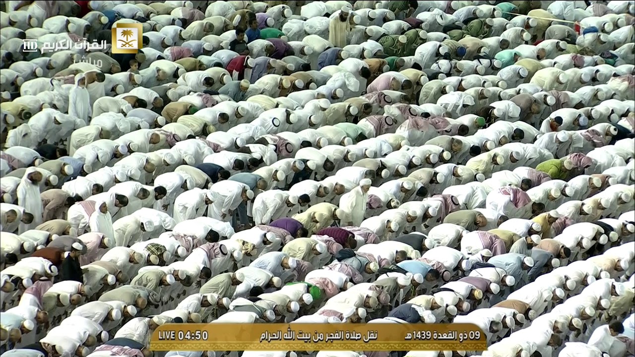 هدوء الشيخ بندر بليلة يأسرني - فجر الأحد 9-11-1439هـ من سورة المؤمنون