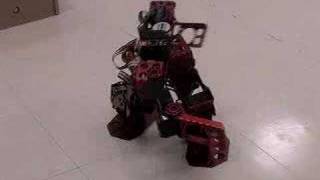 robot fight
