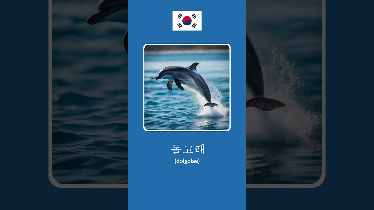 Marine Animals in Korean