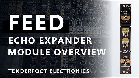 Feed - Echo expander module overview
