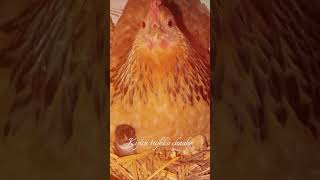 The movement when its come in the world 🤭❣️