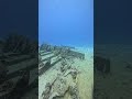 Egypt's Lost City