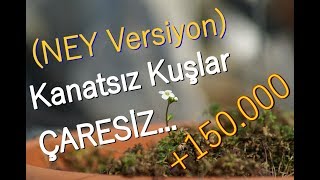 Música de serie de emocional turca -Indefenso Kanatsız Kuşlar - Çaresiz Ney Şemsi Özçiçek & Keman Resimi