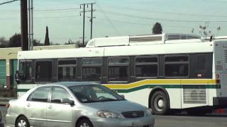 Gardena Municipal Bus Lines New Flyer GE40LF 771 & 761