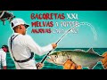 ANJOVAS a CADA LANCE [Spinning desde PLAYA + EMBARCACIÓN] Pesca Delta del Ebro | Lured Vlog 148